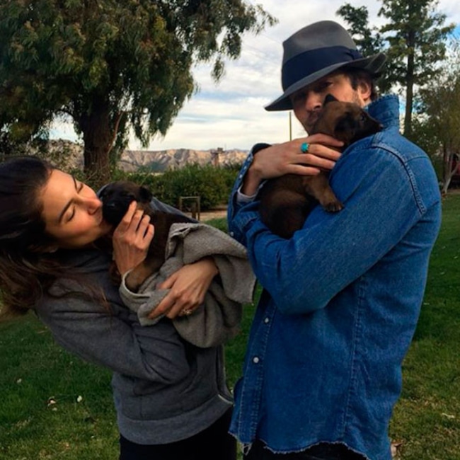 Nikki Reed, Ian Somerhalder, Instagram